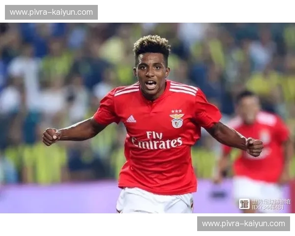 2023年世青赛门票,让你与未来足球巨星亲密接触! 2023年世青赛门票,让你与未来足球巨星亲密接触!